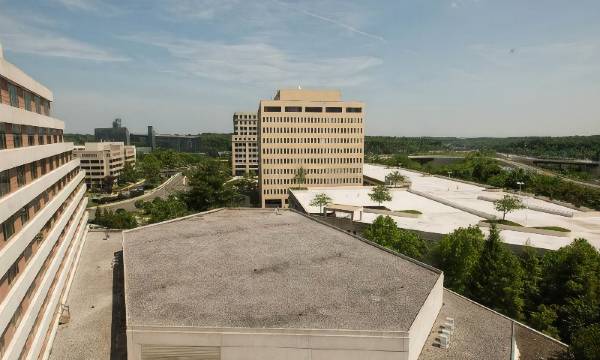 Hilton McLean Tysons Corner