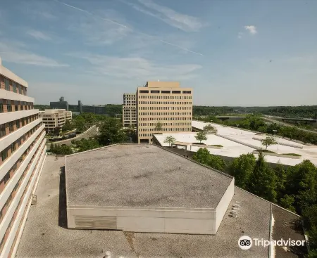 Hilton McLean Tysons Corner