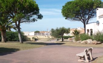 a park with two trees , one on the left side and the other on the right side of the image at Antigua