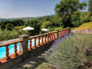 Historic Farmhouse in Caprese Michelangelo with Pool