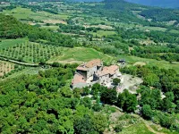 Mimosa - Borgo la Civitella
