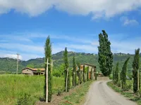 Casa Domenico 2