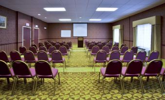 Holiday Inn Express & Suites ST. Petersburg North (I-275)