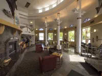 Puffin Inn