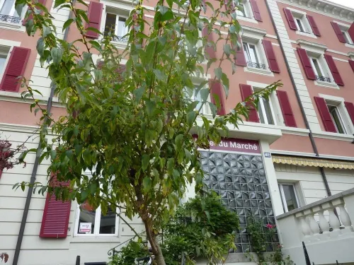 Hôtel du Marché Hotels in Prilly