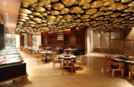 Radisson Blu New Delhi Dwarka