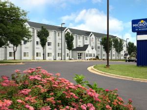 Microtel Inn & Suites by Wyndham Madison East