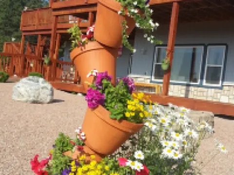 Sawin' Logs Inn Hotels in Devils Tower