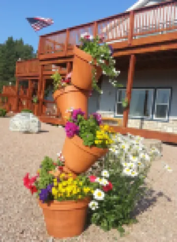 Sawin' Logs Inn Hotels in 