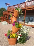 Sawin' Logs Inn Hotels in Devils Tower