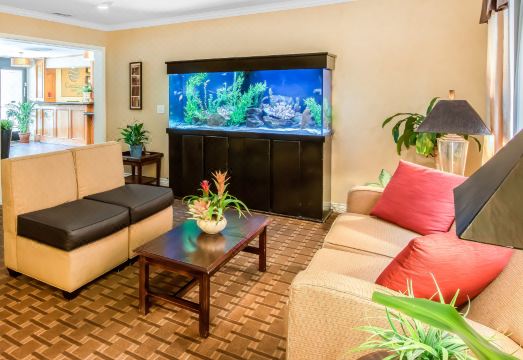 2. 컴포트 인 가스..