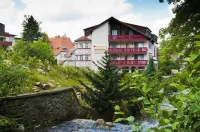 Regiohotel Germania am Kurpark Bad Harzburg Hotels near Luchsgehege - Beobachtungsplattform an der Rabenklippe