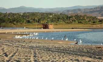 Bungalows Zicatela