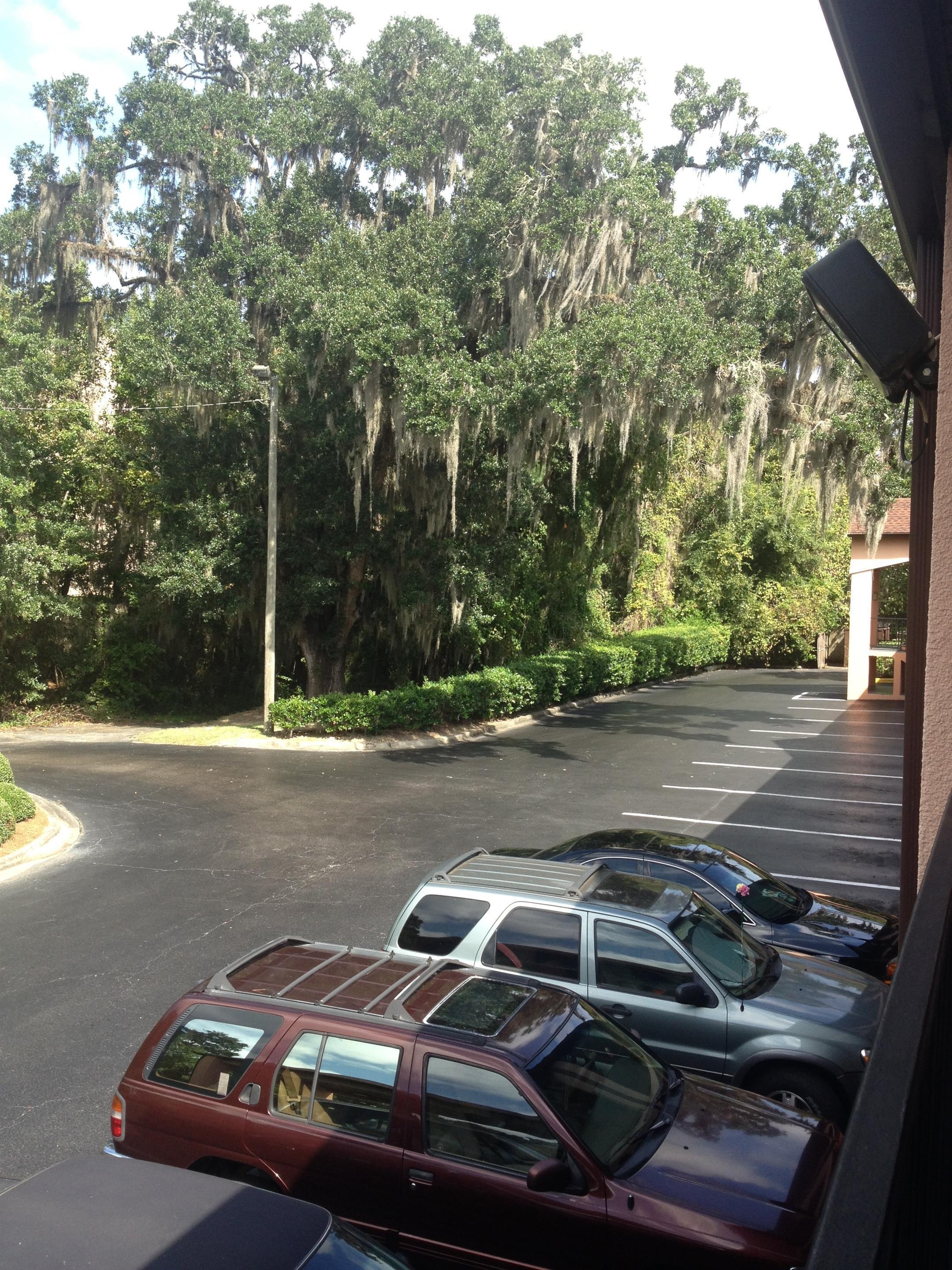 Best Western Tallahassee-Downtown Inn & Suites