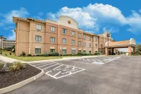 Comfort Inn Powell - Knoxville North Hotels in Knox County