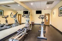 Comfort Inn Thomasville I-85 - Gym