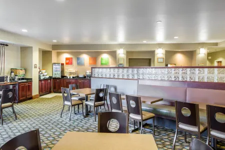 Comfort Suites McDonough Atlanta South