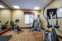 Sleep Inn & Suites Madison - Monona - gimnasio