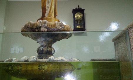 Vila Rica Hotel Caruaru - Housity