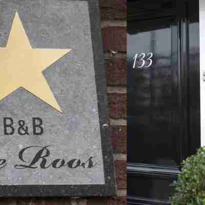 De Roos Leeuwarden Bloementuin & Biodynamisch Ontbijt Hotel Exterior