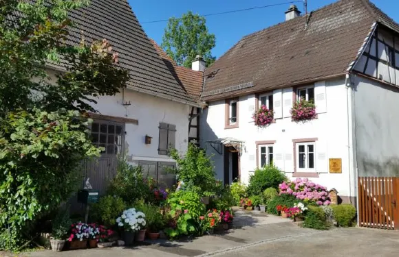 瑞納迪艾爾梅森酒店