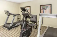 Quality Inn Crossville Near Cumberland Mountain State Park - Gym