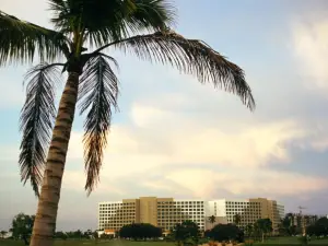 Grand Bliss Nuevo Vallarta