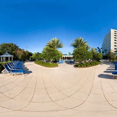 Renaissance Orlando at SeaWorld® Hotels near Dolphin Cove