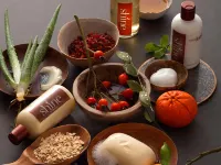 Sheraton Sharjah Beach Resort & Spa