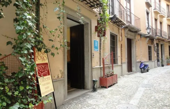 卡薩帕拉西奧皮拉爾·德爾·託羅酒店