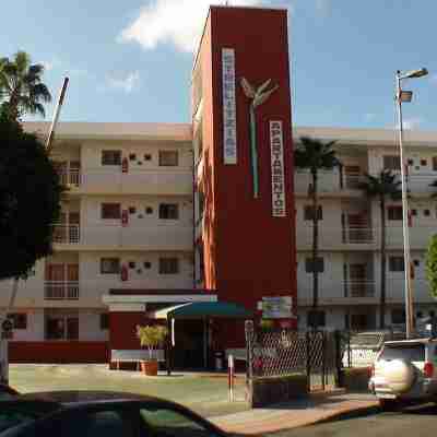 Apartamentos Strelitzias Hotel Exterior