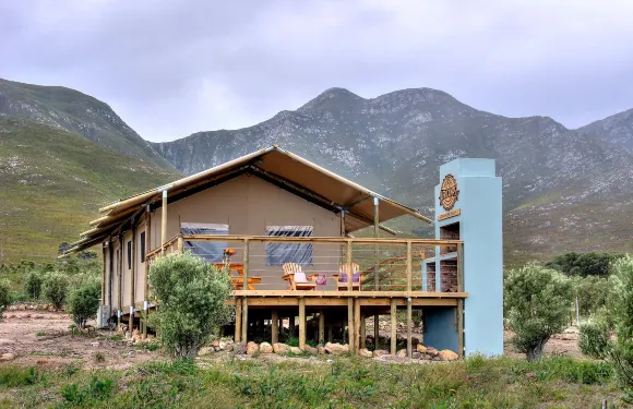 斯坦福山莊園非洲露營野生動物園 - 華麗露營