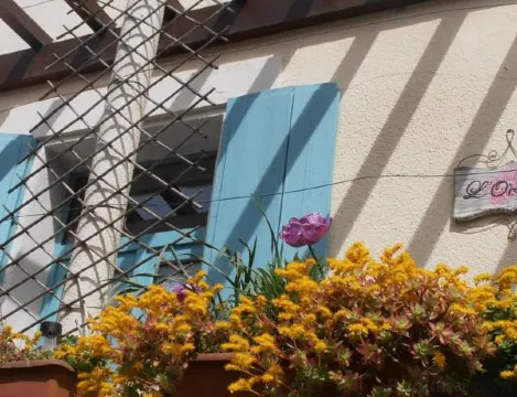 L'Orchidée - Housity