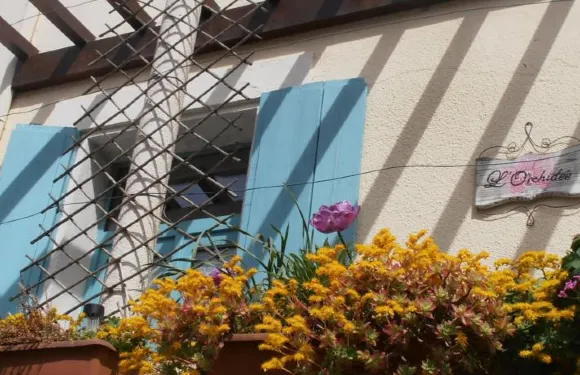 洛爾奇迪住宿加早餐旅館