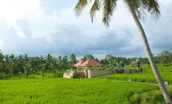 Puri Landu Ubud Villa Bali