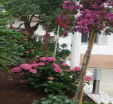 Apartments Antonio فنادق في Zvekovica