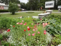 Pinecone Motel โรงแรมใน