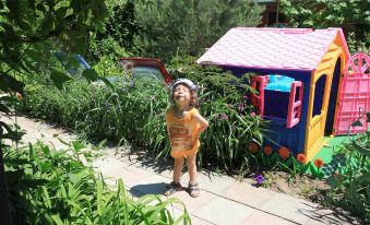 Sunny Patio