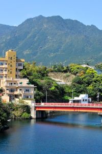 屋久島町のペットと一緒に宿泊できるホテル｜Trip.com