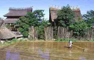 出雲大社近くの人気ホテルランキング 22おすすめホテル 宿トップ10 トリップブログ