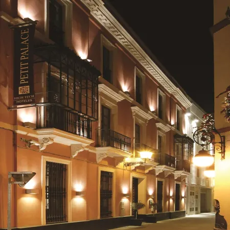 Petit Palace Marques Santa Ana