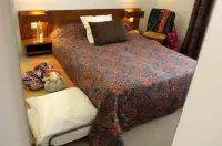 Logis Hôtel le Dahu Hotels in Loire