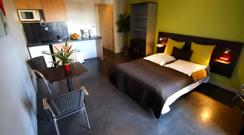 Appart'Hotel les Palatines Hotel a Saint-Etienne