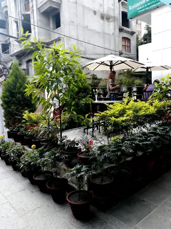Oasis Kathmandu Hotel