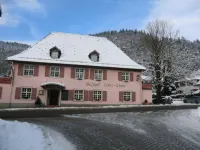 Hotel Restaurant Adler Stube Hotel a Munstertal