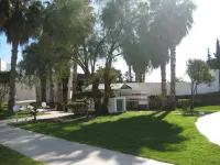 Yadis Hammamet