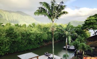 a tropical river scene with palm trees , boats , and a wooden deck overlooking the water at Paradise Bay Resort