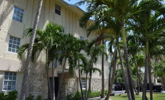 a row of tall palm trees lining the street in front of a building with a stone facade at Coral Reef at Key Biscayne