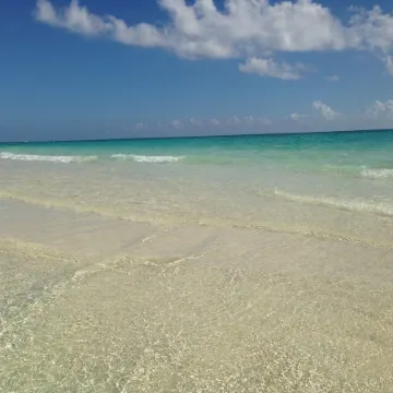 Boutique Hotel Delfin 5th Avenue