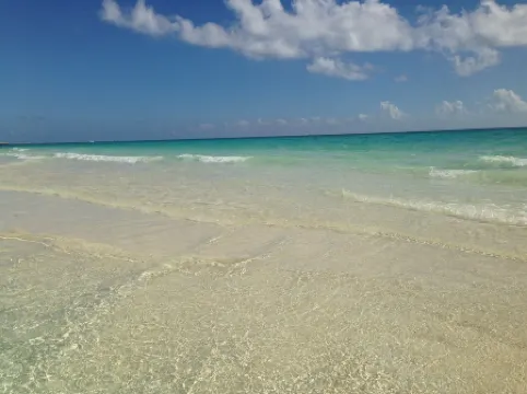 Boutique Hotel Delfin 5th Avenue